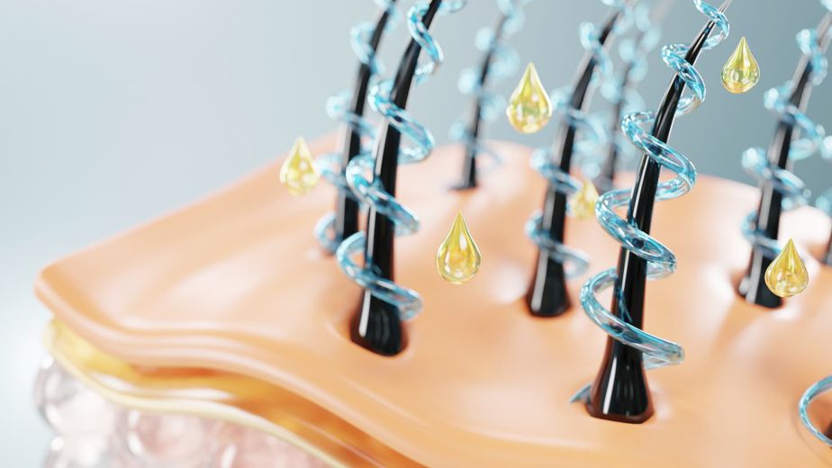 Demo Web Sitesi Demo Haber Başlığı - 2